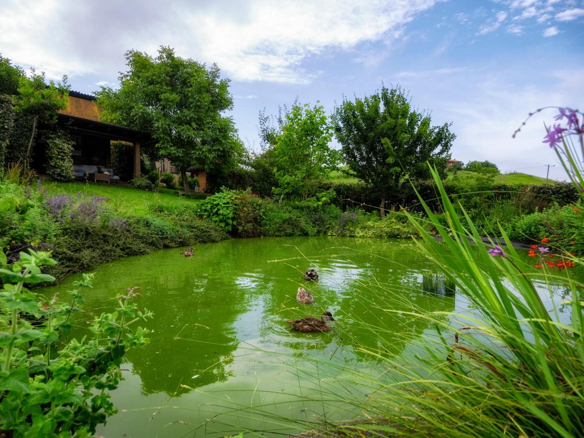 La Casa De Las Palas Tok-Pok Mogro Luaran gambar